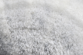 blauwe kaaszwam (cyanosporus caesius) 11-2024 1771